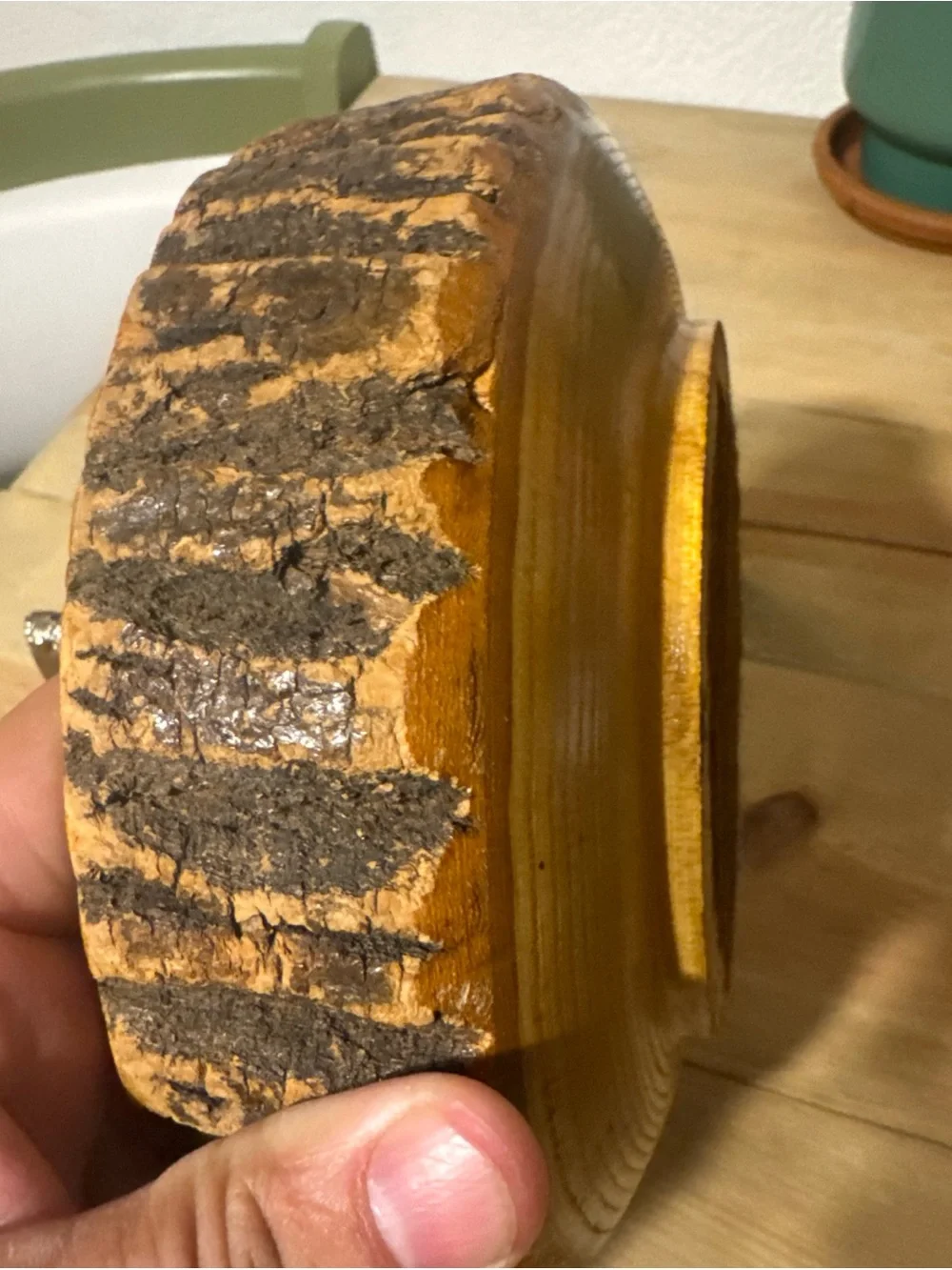 vintage mid-century modern rustic tree bark wood nut bowl Set